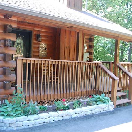 His Promises Cabin พิเจนฟอร์จ ภายนอก รูปภาพ